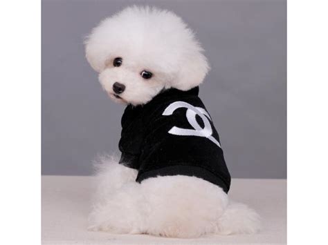 Coco Chanel dog outfits